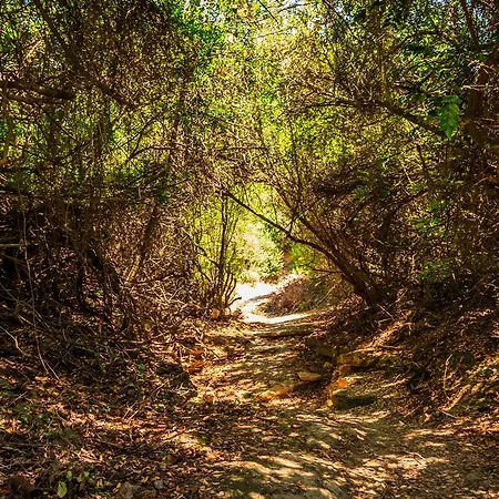 Porto Gerakas Vilă *